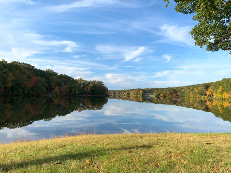 campground view orig 768x576